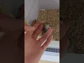 Download Lagu Hand-raised parrots Parrot daily life Lovebirds 😍😍😍Cute little chicks