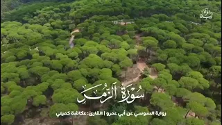 تلاوة من سورة الزمر القارئ عكاشه كميني 