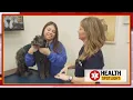 Concerns about pet vaccine safety grow among owners despite benefits