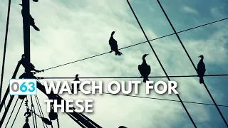 Sailing the Intracoastal Waterway, 5 Things To Watch For  |  ⛵ The Foster Journey