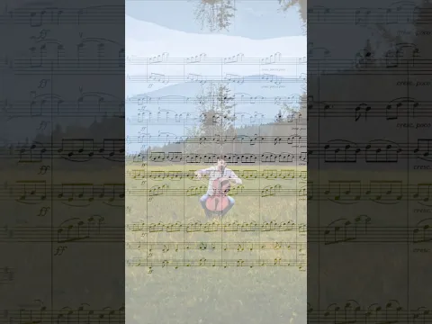 Dreamer ☀️...#lukasulic #classicalmusic #composer #cello #score