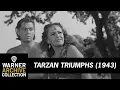 Download Lagu Tarzan Triumphs Movie Scene | Tarzan Feeds Nazis To The Pirana | Warner Bros. Classics