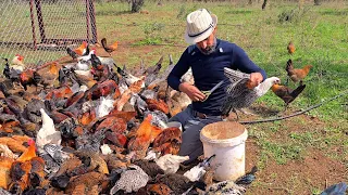 سبحان الله بعد ما نفذ صبري بلشت قصقص جناح الدجاج لكن ظهر لي مرض خطير فجأة