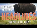 Glacier Park Shuttle Update Toxic Spill Invasive Brown Trout Alert Bison Range Baby Boom