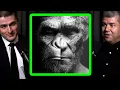 Download Lagu How evolution works | Dave Hone and Lex Fridman