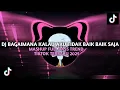 Lagu DJ BAGAIMANA KALAU AKU TIDAK BAIK BAIK SAJA MASHUP FULL BASS TREND TIKTOK TERBARU 2025