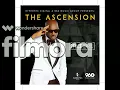 2FACE/2BABA IDIBIA :Best That I Can Be feat  Rocksteady & Iceberg Slim (ASCENSION ALBUM)