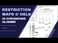 Virtual Gels Restriction Cloning in CodonCode Aligner