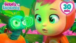 ¡El gusano hipnotiza a Angie! 🍎🐛 Bebés Llorones | Dibujos Animados Para Niños en Español