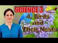 Class 3 Science Chapter 4 - Birds and Their Nests