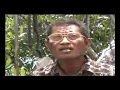 REMA PAI TEPEROGEN
