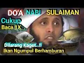 Download Lagu DOA MANCING//DOA UNTUK MANCING// DOA NABI SULAIMAN-jangan coba-coba