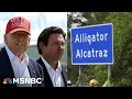 Download Lagu ‘We have animals in better conditions’: Florida Dem decries Trump’s ‘Alligator Alcatraz’ center