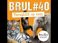 Lagu Terugblik op 2025 🎇 | BRUL #40