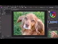 Watermark in Affinity Part 2 Macro and batch processing