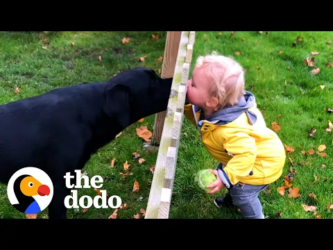 Download MP3 When You Grow Up With Your Best Friend ❤️ | The Dodo