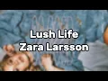 Zara Larsson - Lush Life (Lyrics)