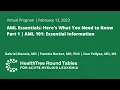 AML Essentials Here s What You Need to Know Part 1 AML 101