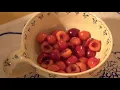 7666004780728208675 youtube
