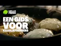 Download Lagu Smaaktest Gesmolten kaas: Vind de ultieme kaas!
