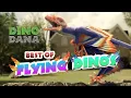 Download Lagu Best Of Flying Dinos | EXTENDED CUT | Dino Dana