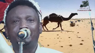 اغنيه شرح انت الجمل ونا جمالك   من يانه الزخم   الفنان محمد بيور زفاف أكرم حسن عريم   الجراحي دندنها