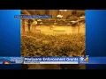 Elbert County Wants More Money To Fight Illegal Pot Grows