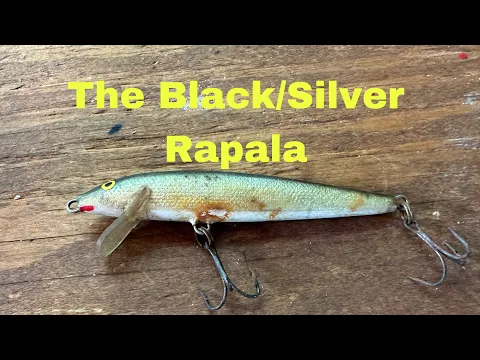 Download MP3 When The Old Black/Silver Rapala STILL Outfishes Everything Else…