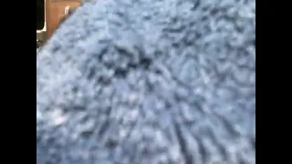                                                   دندنها