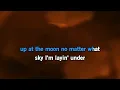 Lainey Wilson - Wildflowers And Wild Horses [Karaoke Version]