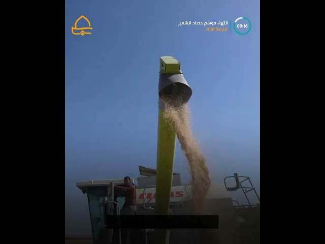 ⁣سعياً للوصول إلى 5 آلاف دونم .. مزرعة فدك التابعة للعتبة العلوية تنهي حصاد محصول الشعير لهذا الموسم