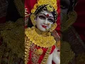 Download Lagu 🔱 तेरी आशिक़ी में, जानाँ |Maa Durga Devi status |Navratristatus video |#mandurgabhakti#maadurga#yt