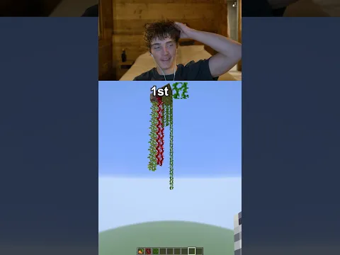 fastest growing vine?