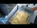 Download Lagu Showcase of QH Biscuit Machines|Biscuit making machine, Small capacity biscuit production line