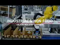 Lagu Industrial \u0026 Non Food Packaging Equipment | Delkor Systems Industry Overview