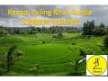 Download Lagu Kecapi Suling Khas Sunda LEMBUR KURING#KecapiSuling,#KhasSunda,#LemburKuring