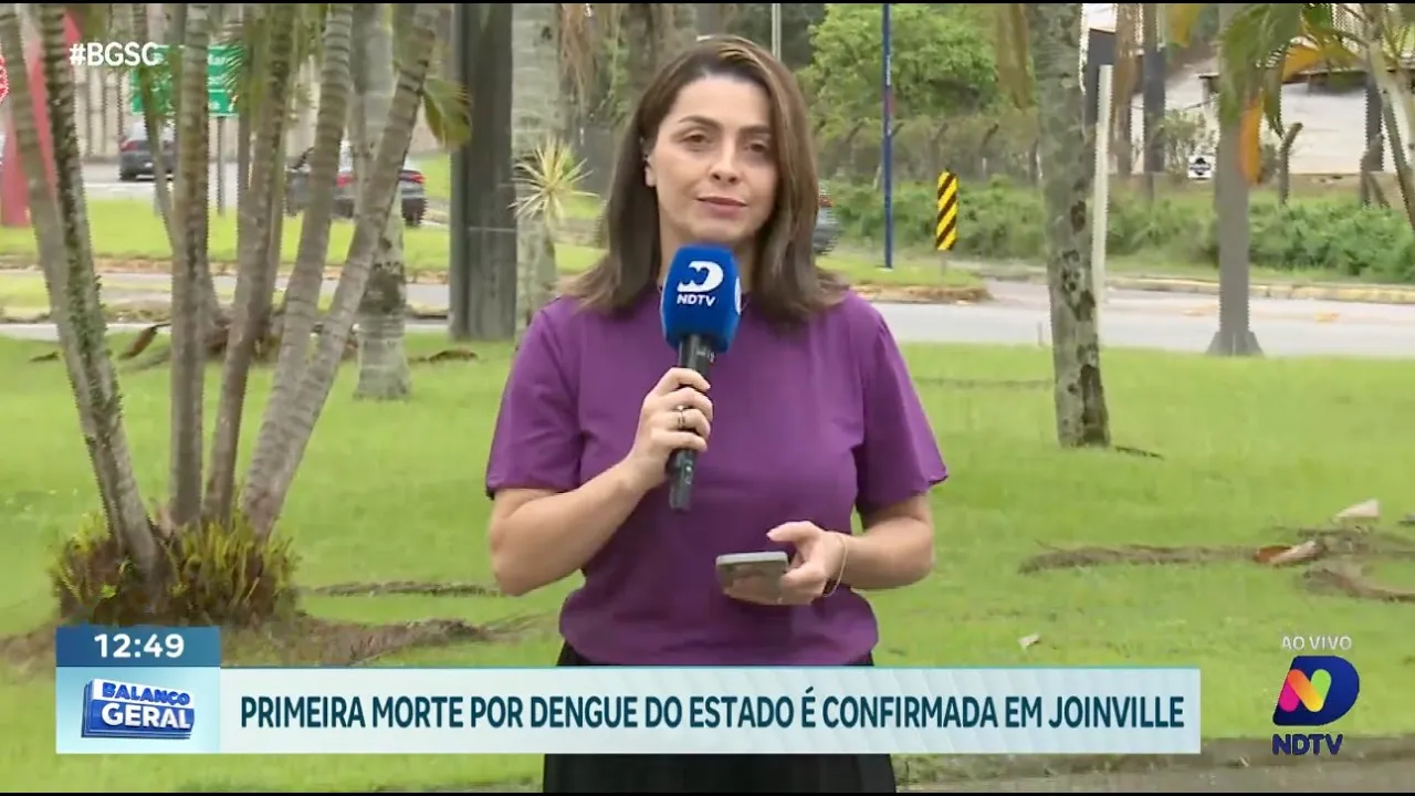 Santa Catarina registra a primeira morte por dengue em 2024