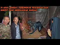 Download Lagu BABI NGEPET DIARAK WARGA SETELAH TERTANGKAP BASAH!!