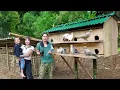 Download Lagu The process of building a kitchen, with bricks, making a pigeon coop, of pigeons, survival farm
