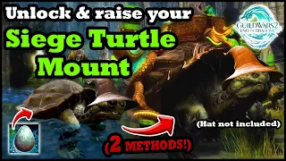 How to Get the Siege Turtle Mount - 2 Methods