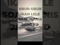 Download Lagu DJ  UBUR UBUR IKAN LELE PLAT KT #preset #liriklagu