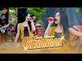 Download Lagu TIARA AMORA - KENANGAN - SINCRON MUSIC - WONG LENGKI 96 AUDIO