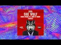Download Lagu DAVID GUETTA ft. SIA - SHE WOLF (BOIM FREAK ft. EWIN D'SAINT REMIX) #reupload