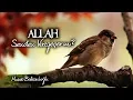 Download Lagu Allah Senden Vazgeçer mi Hiç? | Umudun Yoksa Dinle! | Musab Balkanlıoğlu