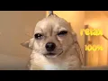 When Massage is too good