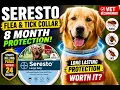 Seresto Flea Tick Collar for Dogs Over 18 lbs Review 2026 8-Month Protection Worth It