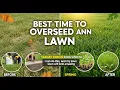 TOP 5 Best Time To Overseed Lawn 2026 Overseeding Products Tested