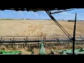 North Farm Durum Crop