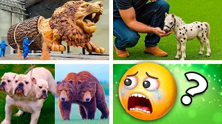 20 Cosas que NO Sabías hace 5 minutos ⏰😲 (22)