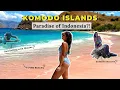 I Travelled Solo to KOMODO ISLANDS Pink beach KOMODO DRAGONS - Bucket List Memories